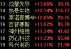 30cm、20cm涨停霸屏！创新药要接棒AI了？两大关键催化落地