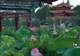 绝了昆明（110）｜夏日顶流荷景，在大观楼误入藕花深处