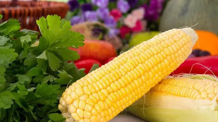养胃别只吃玉米!医生提醒:这三类食物要忌口,胃病才能好得快