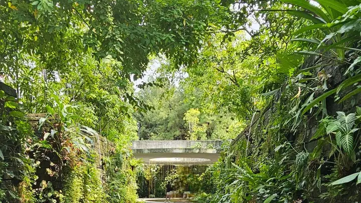 同样的城市，不同的安全感：连续假期里，为什么特色路线游客的体验天差地别？