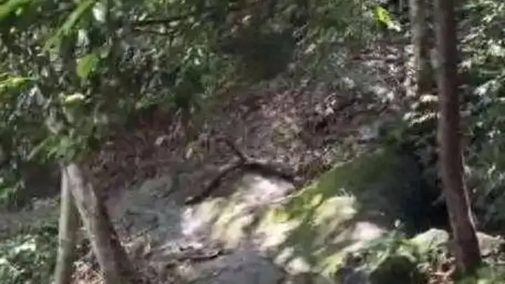 时评丨莫让景区管理在“硬拦截”与“软塌陷”两个极端间反复摇摆