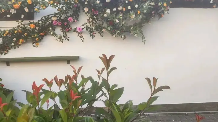 上海人依旧还是会喝咖啡,不会因为你而改变分毫