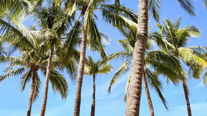 2026旅游合同酒店名称|同级两个字能差出一倍价格