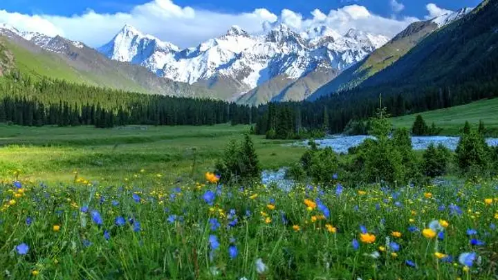 伊犁河谷全域旅行实用攻略从赛里木湖到喀拉峻草原的四季风景人文与游牧生活深度体验手记