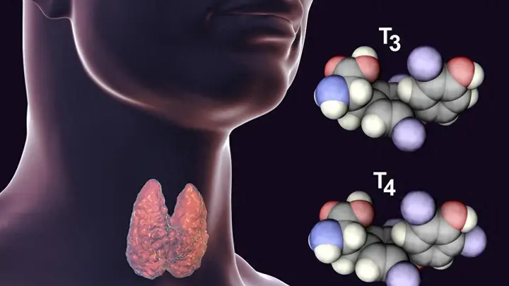 甲减患者的日常零食：核桃、南瓜子、海苔、酸奶怎么吃更合适