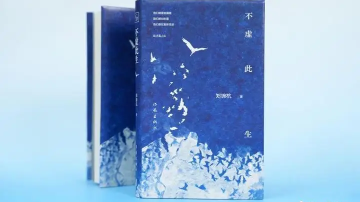 长篇小说《不虚此生》:映照当代人的精神渴望