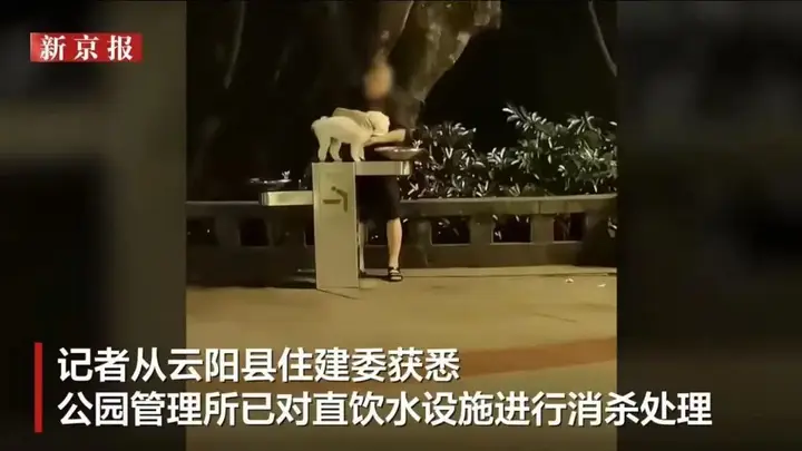 “宠物狗使用公共直饮水”引争议,多地回应