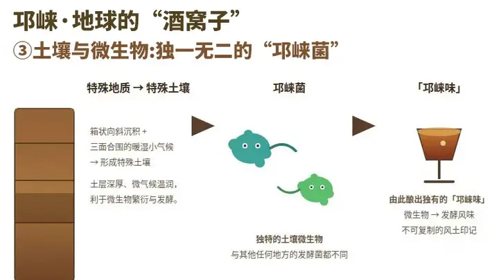 为什么说邛崃是世界白酒第一大原乡?
