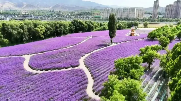 藏在黄河之畔的小众秘境!