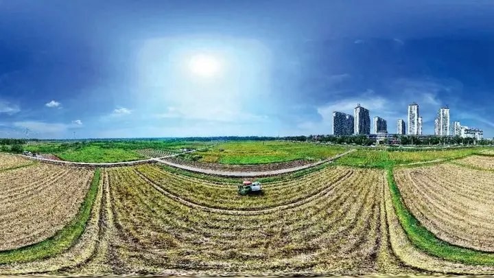 警惕复耕后返荒 推进耕地有效利用
