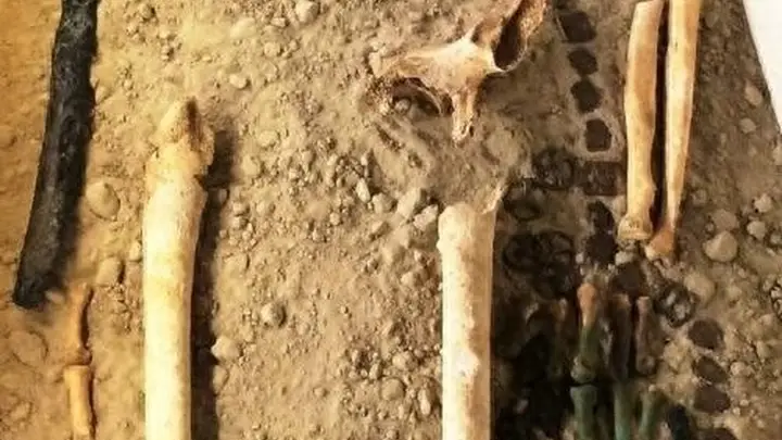 4800年前欧洲T2染色体如何跨亚欧?夏朝或携欧洲DNA引匈奴身世新论