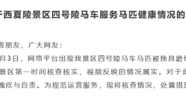 宁夏银川西夏陵景区马伤处置后续工作将于即日起全面展开