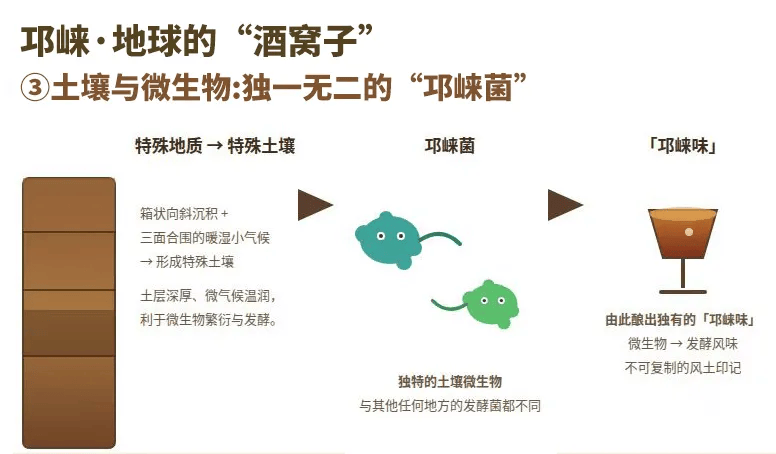 为什么说邛崃是世界白酒第一大原乡？