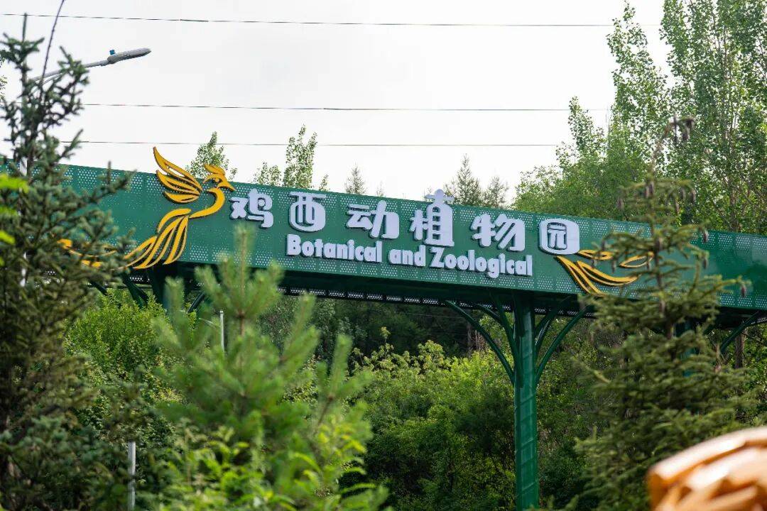 鸡西动植物园 | 以文兴旅，同心兴城