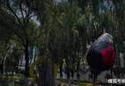 千年酒香秘境，毕业旅行打卡地——刘伶醉4A级工业旅游景区