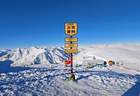 在金色白桦与雪峰之间：一位阿勒泰本地人的四季漫游指南