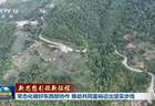 白叶茶香飘秦岭东西部协作谱写了共同富裕新篇章