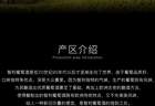 云仓酒庄品牌雷盛529在完整品鉴流程中的位置变化观察
