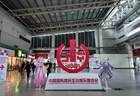 17173前方探营：2026ChinaJoy即将开幕，N馆各大展台抢先看！