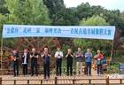 如果李白重回陇南青泥岭,是否也会落子三泉山水间?