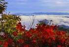 错峰出行!白河庙山寨景区日最大承载量公布!