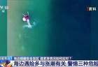 【图文】海边游玩必看！方海浪、离岸流……这些安全盲区别忽视