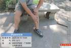 梧桐山野猪为什么频繁出没?