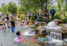 山东济南：泉畔戏水享清凉