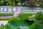 不设限、“零门槛”——白云山云溪植物园打造便民赏花“新标杆”