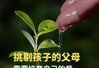 挑剔孩子的父母，最先需要修复的是自己的爱