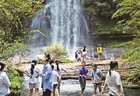 清凉山水激活“避暑经济”新热潮
