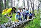 根河夏日入画来：冷极生态文旅激活避暑新体验