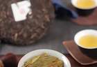 15年存茶经验揭秘普洱新茶，XX地点品鉴会X月X日启幕