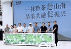 首届贵州抹茶产业发展交流会在贵阳举行！抹小茗全国五店同启