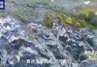 领航丨共绘美丽中国新画卷