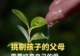 挑剔孩子的父母,最先需要修复的是自己的爱