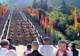2026汶川大禹文化旅游季启幕:赓续文脉,沉浸式演绎“禹的传说”
