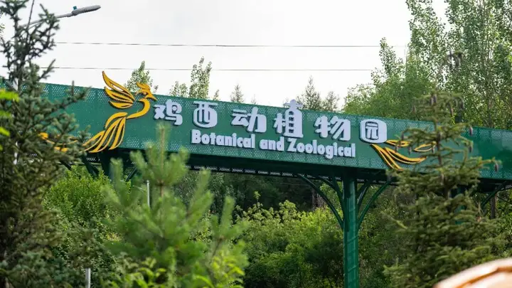 鸡西动植物园 | 以文兴旅,同心兴城