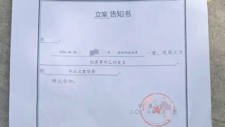 网红边牧“锄头”被盗宰杀案移送审查起诉,主人拟提民事诉讼求赔偿