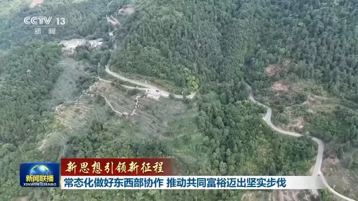 白叶茶香飘秦岭东西部协作谱写了共同富裕新篇章