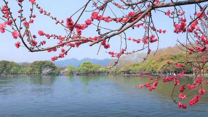 和爸妈一起旅行的这几天