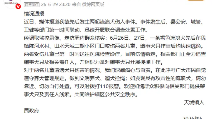 湖北崇阳通报“流浪犬咬伤两名儿童”:全力追查肇事犬只及相关责任人