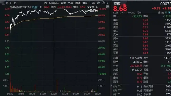 一个多月股价翻倍!000725,收官日拿下第一