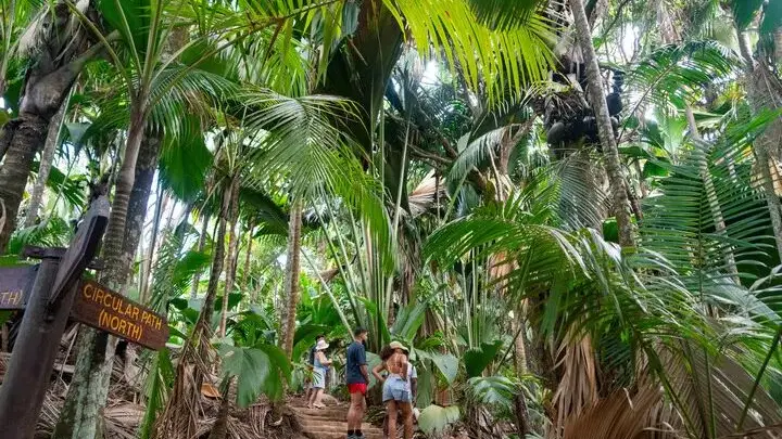 走进塞舌尔马埃谷地自然保护区