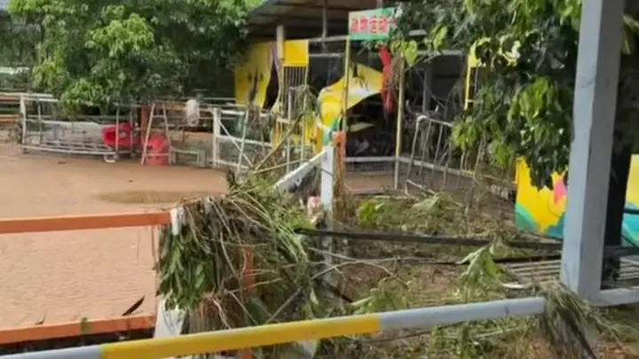贵港动物园上百只动物被洪水冲走,3只狮子死亡,负责人回应