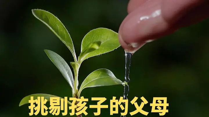 挑剔孩子的父母,最先需要修复的是自己的爱