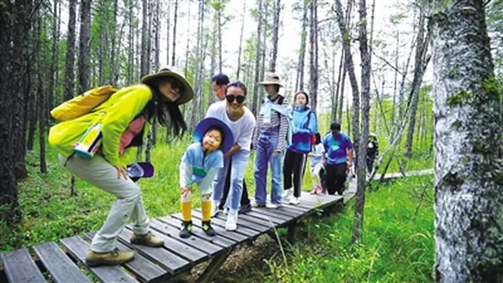 根河夏日入画来:冷极生态文旅激活避暑新体验