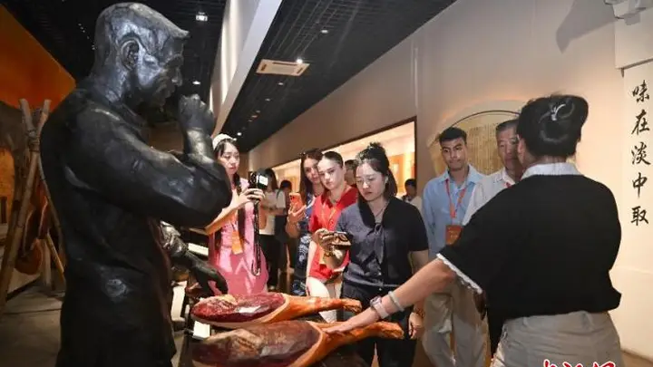 海外华文媒体在浙江金华探寻婺剧文化魅力