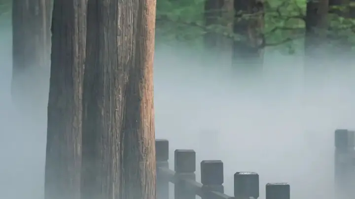 海淀消暑秘境：雾森仙境与竹林秘境，解锁夏日清凉新玩法