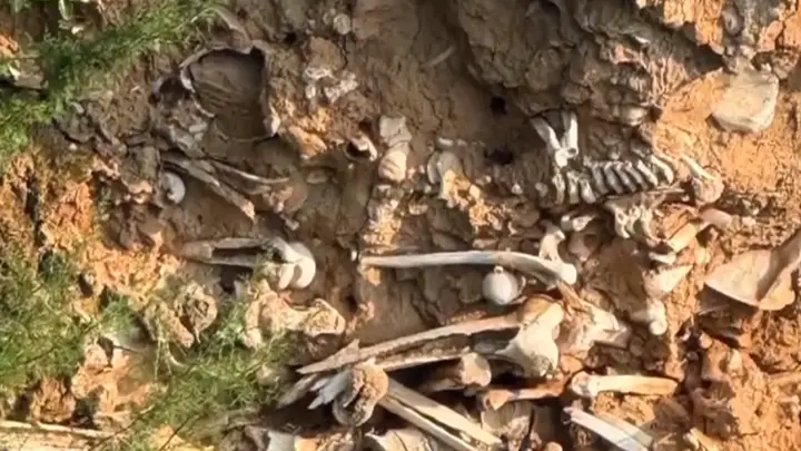 一道路旁现大量白骨,当地:系古代战争遗骸